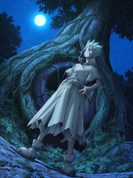 Dr. STONE 3: NEW WORLD