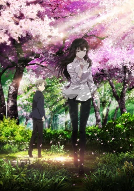 Beautiful Bones: Sakurako's Investigation