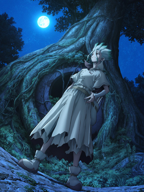 Dr. STONE 3: NEW WORLD
